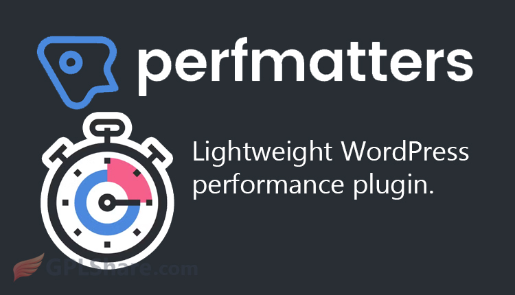Perfmatters Lightweight WordPress Performance Plugin