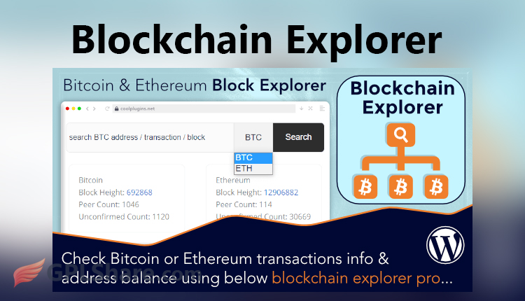 Blockchain Explorer Pro WordPress Plugin