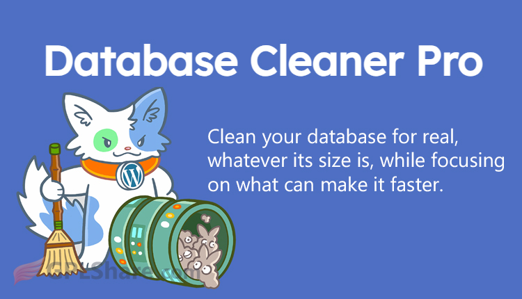 Database Cleaner Pro Optimization & Repair WordPress Plugin