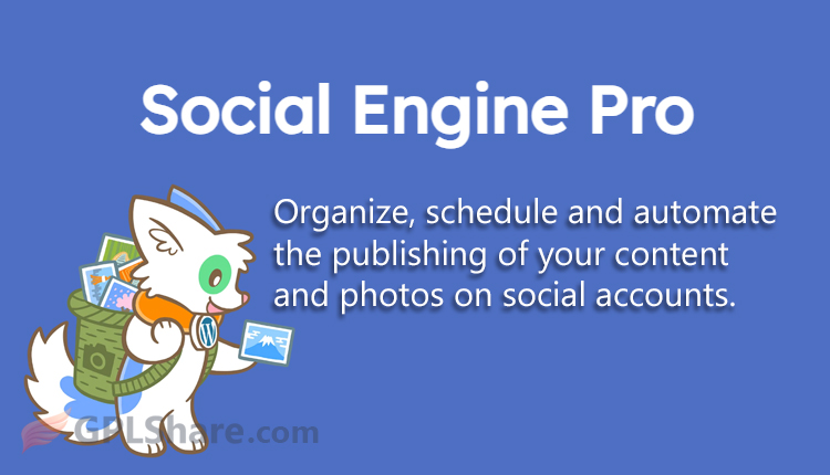 Social Engine Pro Social Media Scheduling WordPress Plugin